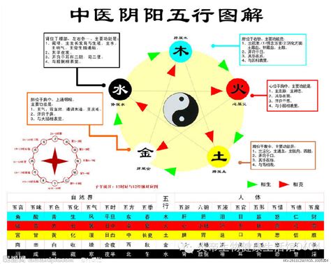 五行相生相剋關係|簡單明了，圖解五行相生相剋